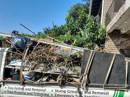 Best Estate Cleanout  in Wilmington, DE