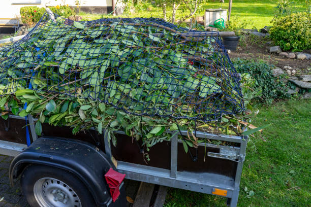 Recycling Services for Junk in Wilmington, DE